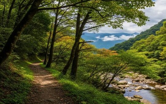 Tonghou Traversing Trail: Short, Scenic Adventure Between Wulai and Yilan