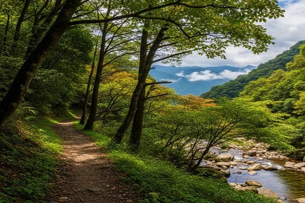 Tonghou Traversing Trail: Short, Scenic Adventure Between Wulai and Yilan