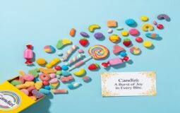 Candizi: A Burst of Joy in Every Bite