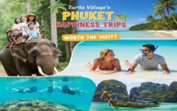 Is Turtle Village’s Phuket Happiness Trips Worth the Visit?