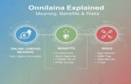 Onnilaina Explained: Online Lending Meaning, Benefits & Risks